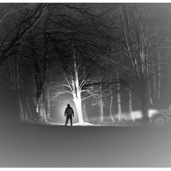 50 10X13 Midnight Creeps Poly Mailers PRICE FIRM Fall - Picture 11 of 11